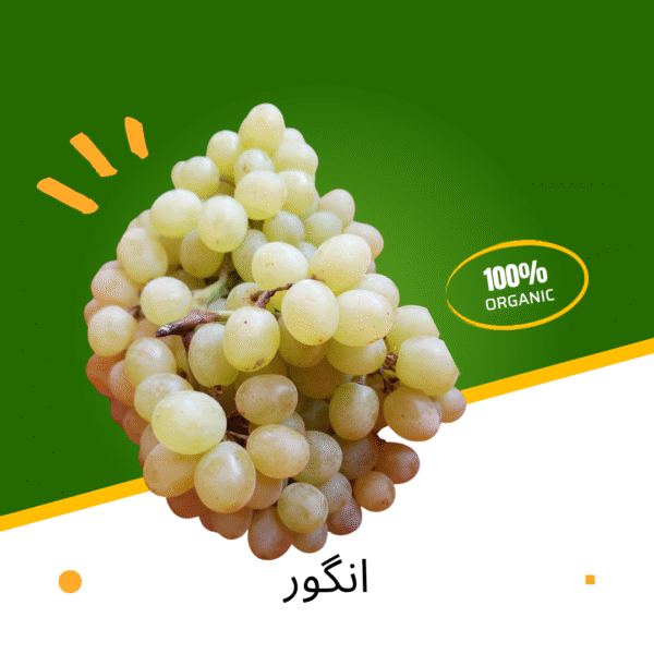 Grapes (angoor)